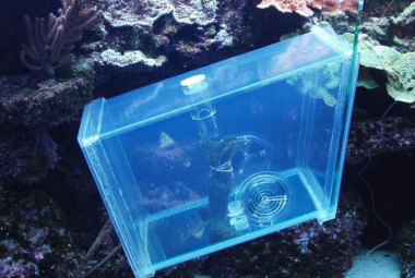 Aquarium Fish Trap