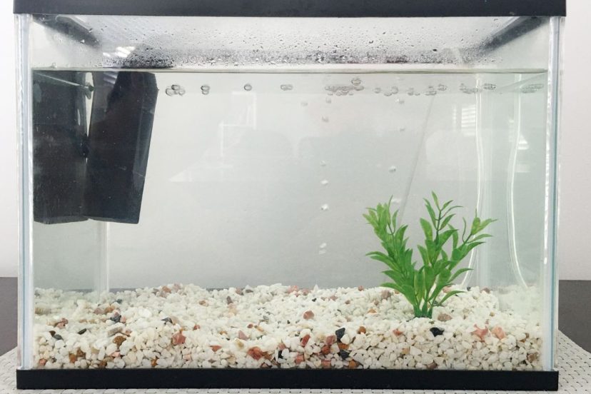 How to Reseal an Aquarium Aquariffic Adventures