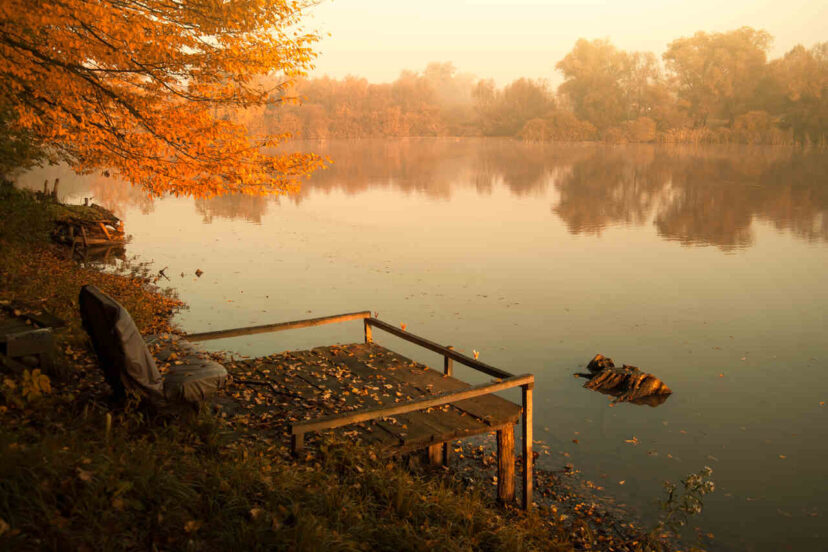 Difference Between a Lake and a Pond