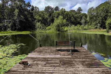 Dock in a Pond