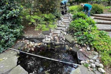 Fixing a Leaking Pond