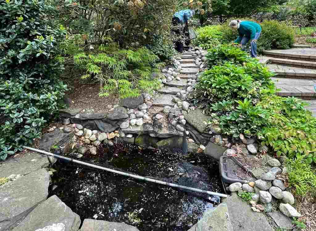 How to Fix a Leaking Pond Aquariffic Adventures