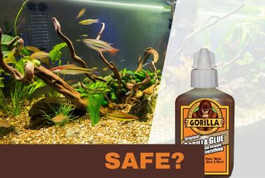 Is Gorilla Glue Safe for Aquariums Featured Image
