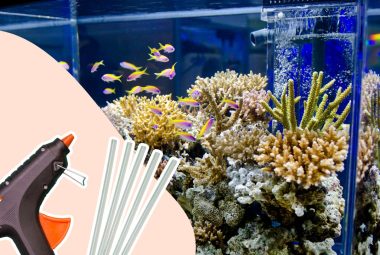 Is Hot Glue Aquarium Safe Featured Image