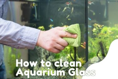 How to Clean Aquarium Glass