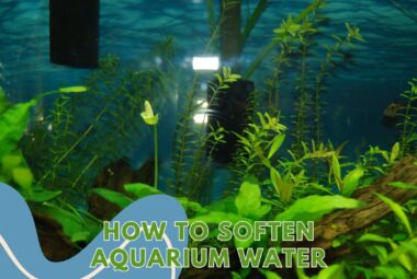 Soften Aquarium Water