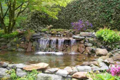 How to Seal a Pond