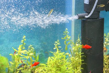How Often to Change Aquarium Filter