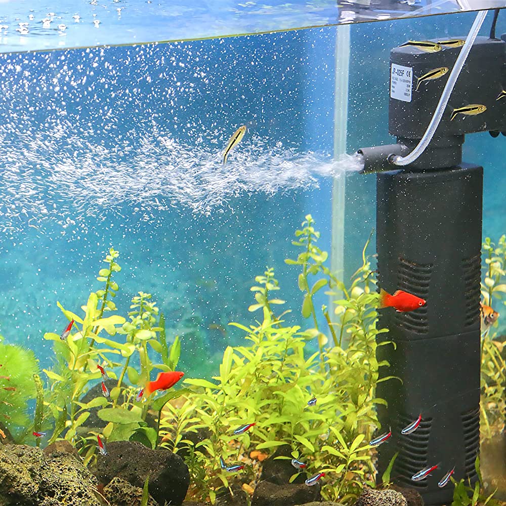 How Often to Change Aquarium Filter Aquariffic Adventures