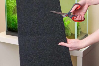 How Often to Change Aquarium Filter Pads