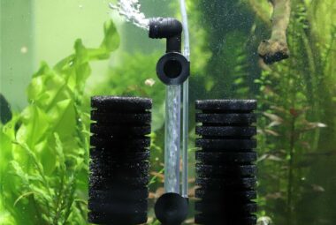 How Does an Aquarium Sponge Filter Work