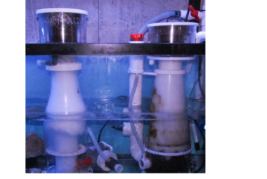 Protein Skimmer Freshwater