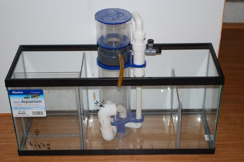 Protein Skimmer in Sump